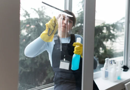 Nettoyage de vitres intérieures et extérieures à Saint-Aubin-sur-Quillebeuf